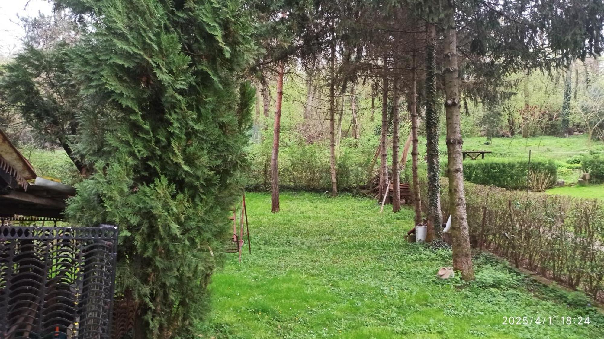 Apartman Oaza Olja Belgrad Exteriör bild